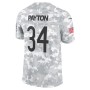 Walter Payton Chicago Bears Nike 2024 Salute to Service Retired Player Limited Jersey - Arctic Camo Walter Payton Chicago Bears Nike 2024 Salute to Service Retired Player Limited Jersey - Arctic Camo