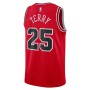 Dalen Terry Chicago Bulls Nike Unisex 2022 NBA Draft First Round Pick Swingman Jersey - Icon Edition - Red Dalen Terry Chicago Bulls Nike Unisex 2022 NBA Draft First Round Pick Swingman Jersey - Icon Edition - Red