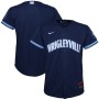 Chicago Cubs Nike Youth City Connect Replica Jersey - Navy Chicago Cubs Nike Youth City Connect Replica Jersey - Navy