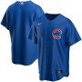Chicago Cubs Nike Youth Alternate Replica Team Jersey - Royal Chicago Cubs Nike Youth Alternate Replica Team Jersey - Royal