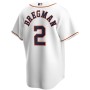 Alex Bregman Houston Astros Nike Youth Alternate Replica Player Jersey - White Alex Bregman Houston Astros Nike Youth Alternate Replica Player Jersey - White