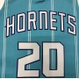 Men's Charlotte Hornets Hayward #20 Jordan Brand Blue 20/21 Swingman Jersey - Association Edition Men's Charlotte Hornets Hayward #20 Jordan Brand Blue 20/21 Swingman Jersey - Association Edition
