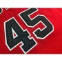 Men's Chicago Bulls Michael Jordan #45 Throwback Red 1994-95 Hardwood Classics Player Jersey Men's Chicago Bulls Michael Jordan #45 Throwback Red 1994-95 Hardwood Classics Player Jersey