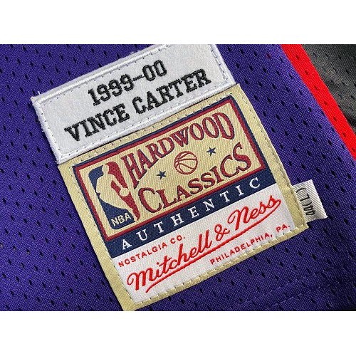 Men's Toronto Raptors Vince Carter #15 Throwback Purple 99-00 Hardwood Classics Jersey