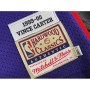Men's Toronto Raptors Vince Carter #15 Throwback Purple 99-00 Hardwood Classics Jersey
