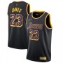 Men's Los Angeles Lakers LeBron James #23 Nike Black 2020/21 Swingman Player Jersey – Earned Edition Men's Los Angeles Lakers LeBron James #23 Nike Black 2020/21 Swingman Player Jersey – Earned Edition