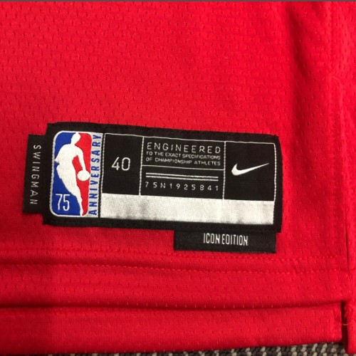 Men's Chicago Bulls Alex Caruso #6 Nike Red 2021 Swingman Jersey - Icon Edition Men's Chicago Bulls Alex Caruso #6 Nike Red 2021 Swingman Jersey - Icon Edition