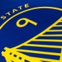 Men's Golden State Warriors Andre Iguodala #9 Nike Royal 2021/22 Swingman Jersey - Icon Edition Men's Golden State Warriors Andre Iguodala #9 Nike Royal 2021/22 Swingman Jersey - Icon Edition