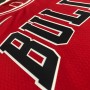 Men's Chicago Bulls Alex Caruso #6 Nike Red 2021 Swingman Jersey - Icon Edition Men's Chicago Bulls Alex Caruso #6 Nike Red 2021 Swingman Jersey - Icon Edition