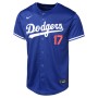 Shohei Ohtani Los Angeles Dodgers Nike Youth Alternate Limited Jersey – Royal
