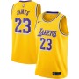 LeBron James Los Angeles Lakers Nike 2020/21 Swingman Jersey Gold - Icon Edition LeBron James Los Angeles Lakers Nike 2020/21 Swingman Jersey Gold - Icon Edition