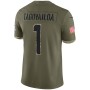 Tua Tagovailoa Miami Dolphins Nike 2022 Salute To Service Limited Jersey - Olive Tua Tagovailoa Miami Dolphins Nike 2022 Salute To Service Limited Jersey - Olive