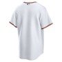 Minnesota Twins Nike Home Blank Replica Jersey - White Minnesota Twins Nike Home Blank Replica Jersey - White