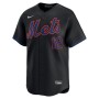 Francisco Lindor New York Mets Nike Alternate Limited Player Jersey – Black Francisco Lindor New York Mets Nike Alternate Limited Player Jersey – Black