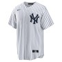 Anthony Volpe New York Yankees Nike Youth Home Replica Player Jersey - White Anthony Volpe New York Yankees Nike Youth Home Replica Player Jersey - White