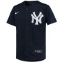 DJ LeMahieu New York Yankees Nike Youth Alternate Replica Player Jersey - Navy DJ LeMahieu New York Yankees Nike Youth Alternate Replica Player Jersey - Navy
