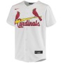 Nolan Arenado St. Louis Cardinals Nike Youth Alternate Replica Player Jersey - White Nolan Arenado St. Louis Cardinals Nike Youth Alternate Replica Player Jersey - White