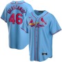 Paul Goldschmidt St. Louis Cardinals Nike Youth Alternate Replica Player Jersey - Light Blue Paul Goldschmidt St. Louis Cardinals Nike Youth Alternate Replica Player Jersey - Light Blue
