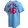Paul Goldschmidt St. Louis Cardinals Nike Youth Alternate Replica Player Jersey - Light Blue Paul Goldschmidt St. Louis Cardinals Nike Youth Alternate Replica Player Jersey - Light Blue