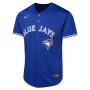 Vladimir Guerrero Jr. Toronto Blue Jays Nike Youth Alternate Limited Player Jersey - Royal Vladimir Guerrero Jr. Toronto Blue Jays Nike Youth Alternate Limited Player Jersey - Royal
