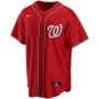 Washington Nationals Nike Youth Alternate Replica Team Jersey - Red