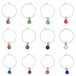 Wine Glass Charms Tags Birthstone Silver Tone 12 Pieces