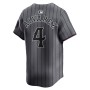 Francisco Alvarez New York Mets Nike 2024 City Connect Limited Player Jersey - Graphite Francisco Alvarez New York Mets Nike 2024 City Connect Limited Player Jersey - Graphite