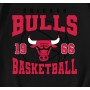 Vintage Chicago Bulls 1966 Basketball T-Shirt Vintage Chicago Bulls 1966 Basketball T-Shirt