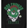 Boston Celtics 2024 NBA Champs Grateful Dead T-Shirt Boston Celtics 2024 NBA Champs Grateful Dead T-Shirt