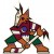 Arizona Coyotes
